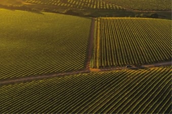 Tractors Finally Get the Tesla Treatment [Bloomberg]