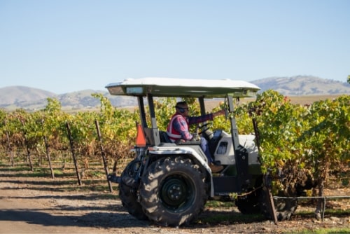 I Thought I Knew Why They