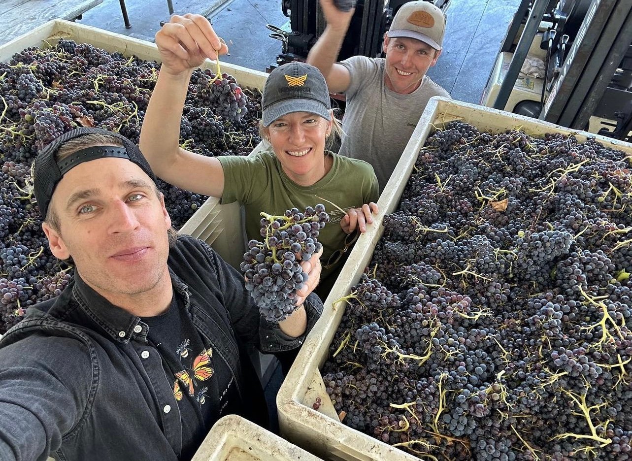 Raen Winery Harvest